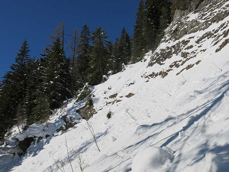 Buchbergkogel